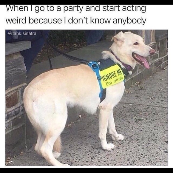 Meet your Posher, Jennifer - Picture 3 of 6